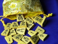 将棋中継解説者・聞き手ランキング